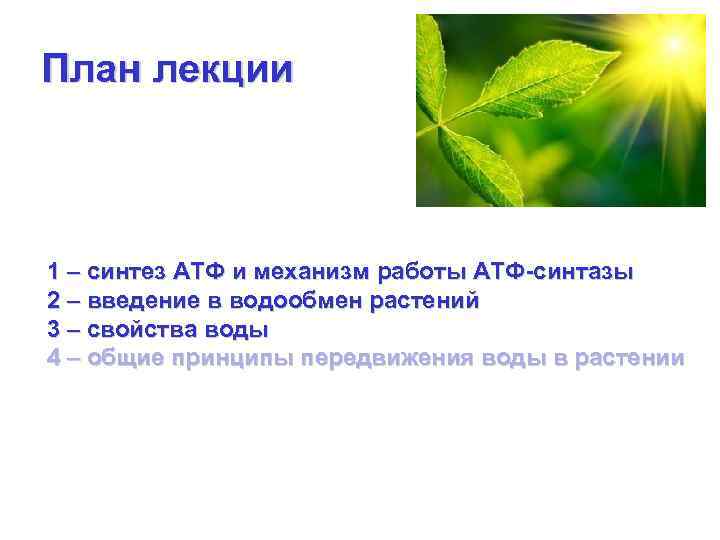 План лекции 1 – синтез АТФ и механизм работы АТФ-синтазы 2 – введение в