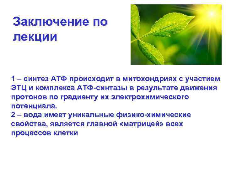 Заключение по лекции 1 – синтез АТФ происходит в митохондриях с участием ЭТЦ и