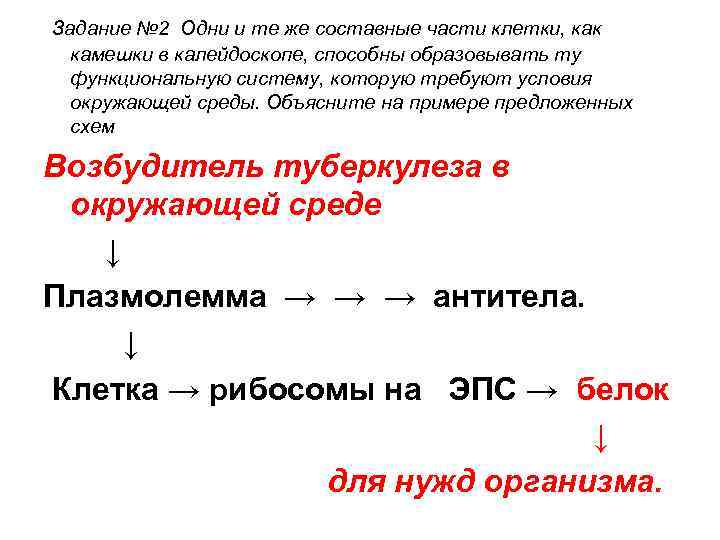 Задание № 2 Одни и те же составные части клетки, как камешки в калейдоскопе,