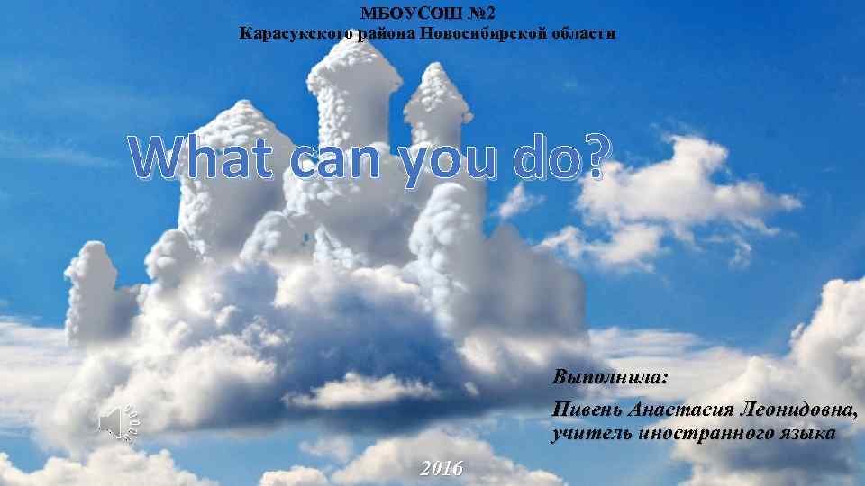 МБОУСОШ № 2 Карасукского района Новосибирской области What can you do? Выполнила: Пивень Анастасия