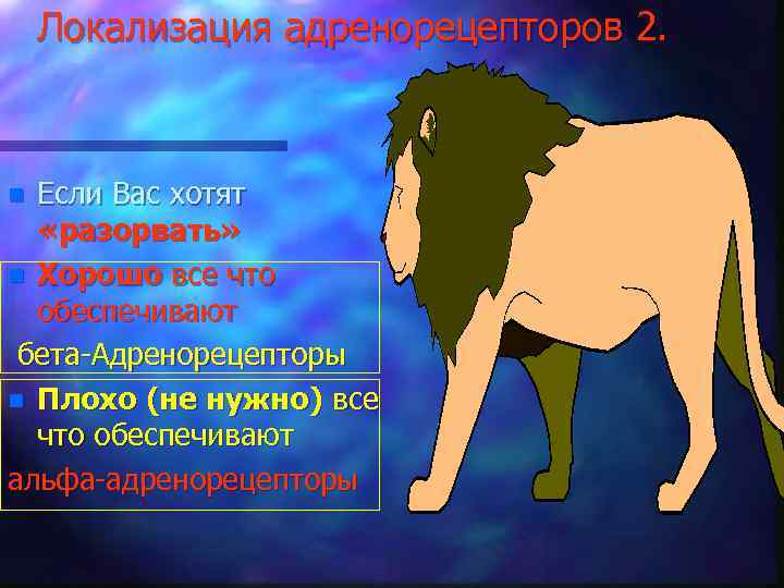 Локализация адренорецепторов 2. Если Вас хотят «разорвать» n Хорошо все что обеспечивают бета-Адренорецепторы n