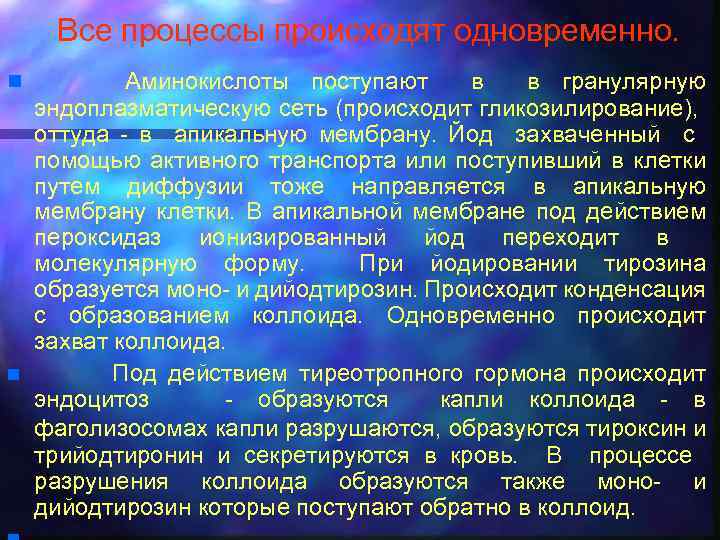 Все процессы происходят одновременно. n n Аминокислоты поступают в в гранулярную эндоплазматическую сеть (происходит