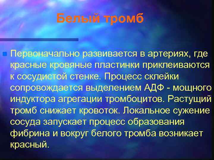 Белый тромб n Первоначально развивается в артериях, где красные кровяные пластинки приклеиваются к сосудистой