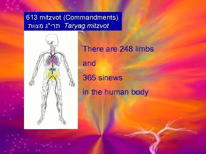613 mitzvot (Commandments) תרי