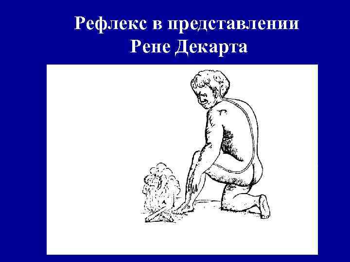 Рефлекс в представлении Рене Декарта 