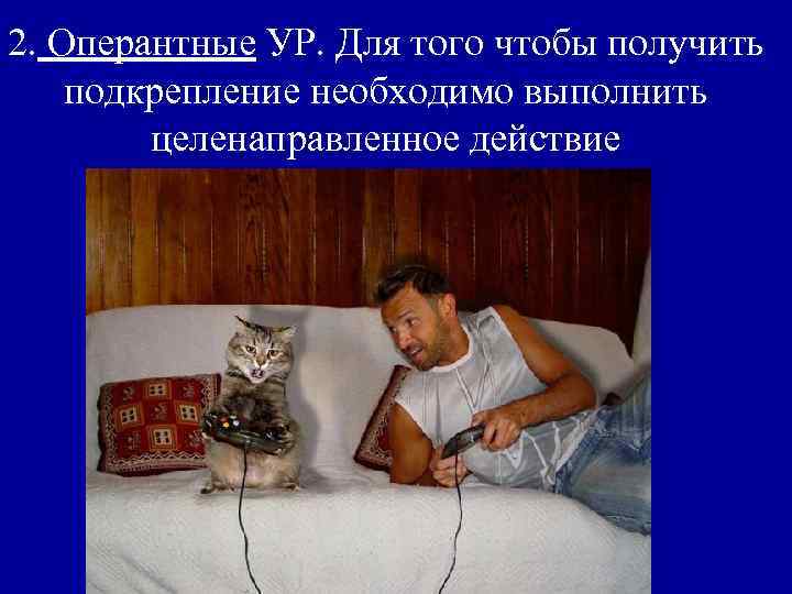 2. Оперантные УР. Для того чтобы получить подкрепление необходимо выполнить целенаправленное действие 