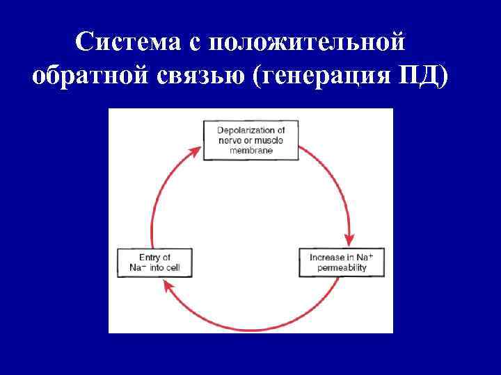 Положительная связь. Система с положительной обратной связью. Положительная Обратная связь. Пример системы с положительной обратной связью. Принцип положительной обратной связи.