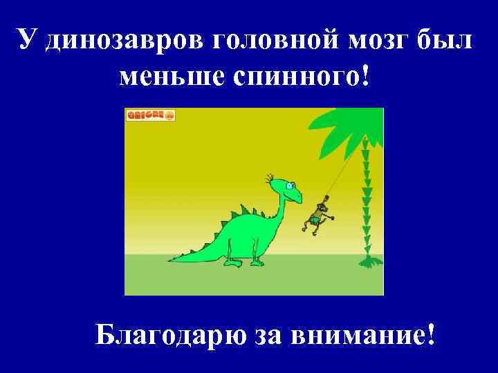 У динозавров головной мозг был меньше спинного! Благодарю за внимание! 
