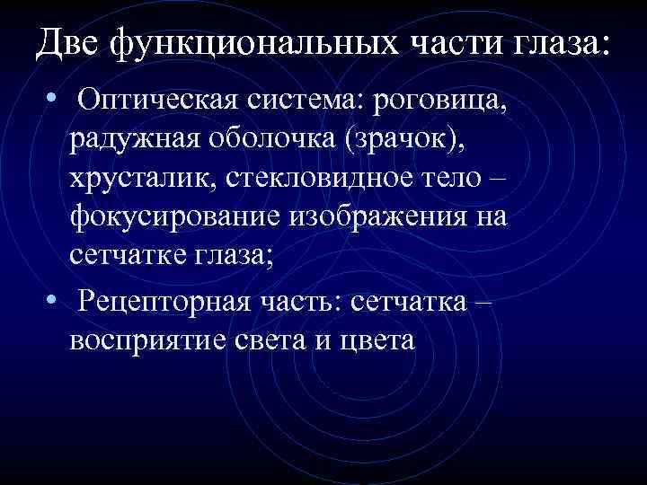 Две функциональных части глаза: • Оптическая система: роговица, радужная оболочка (зрачок), хрусталик, стекловидное тело