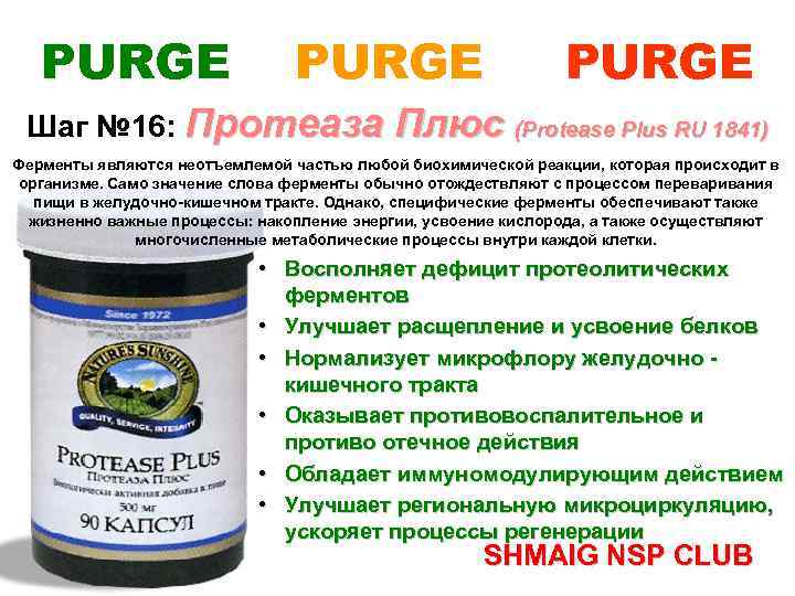 Плюс описание. Протеаза плюс НСП. Протеолитические ферменты NSP. Протеаза NSP состав. Протеаза плюс (protease Plus).