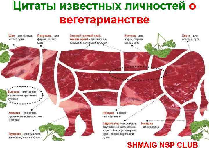 Цитаты известных личностей о вегетарианстве SHMAIG NSP CLUB 