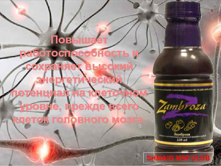 Повышает работоспособность и сохраняет высокий энергетический потенциал на клеточном уровне, прежде всего клеток головного