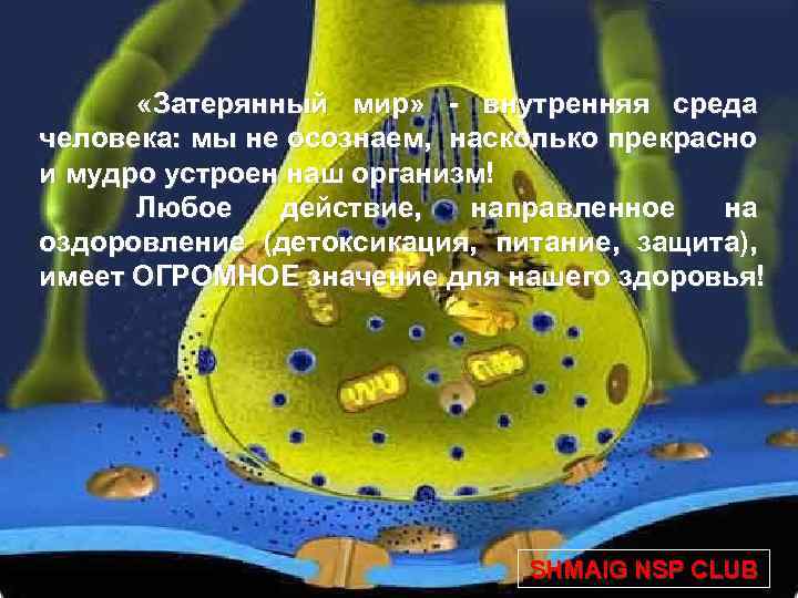  «Затерянный мир» - внутренняя среда человека: мы не осознаем, насколько прекрасно и мудро