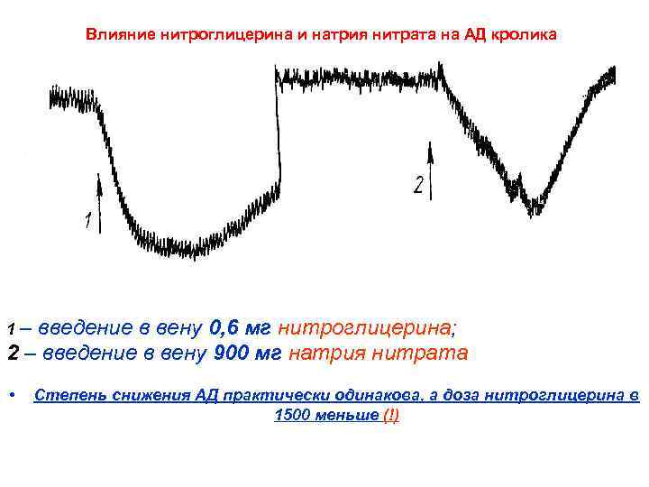 Влияние нитроглицерина и натрия нитрата на АД кролика 1– введение в вену 0, 6