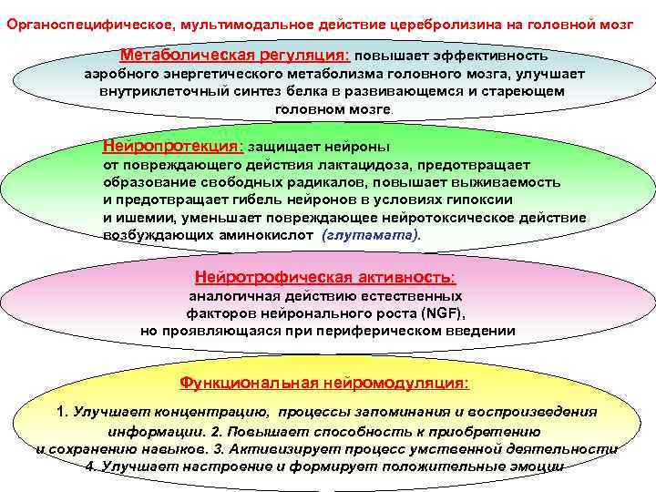 Органоспецифическое, мультимодальное действие церебролизина на головной мозг Метаболическая регуляция: повышает эффективность аэробного энергетического метаболизма