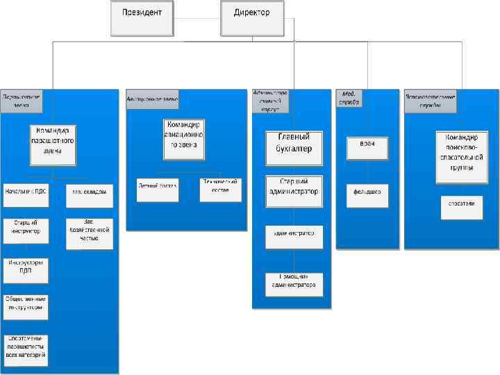Организационная структура после изменений 