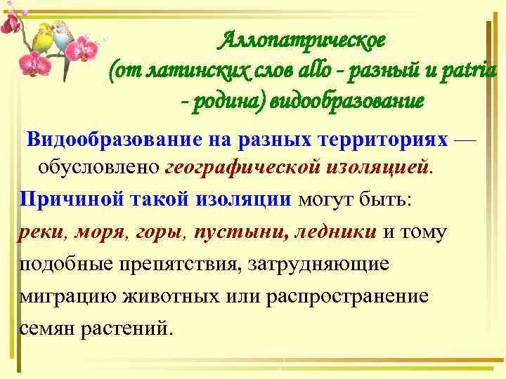 Аллопатрическое (от латинских слов allo - разный и patria - родина) видообразование Видообразование на