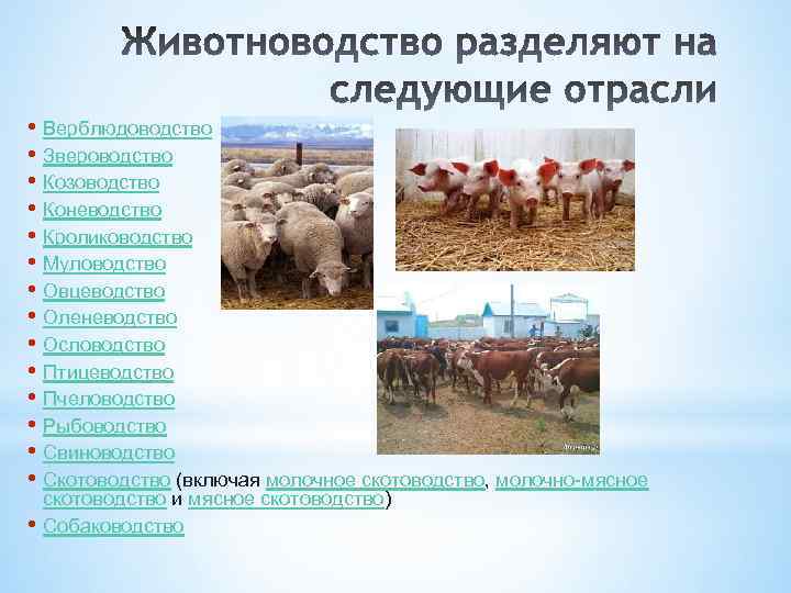  • Верблюдоводство • Звероводство • Козоводство • Коневодство • Кролиководство • Муловодство •