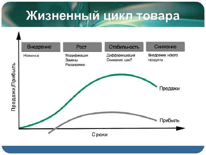 Жизненный цикл товара 