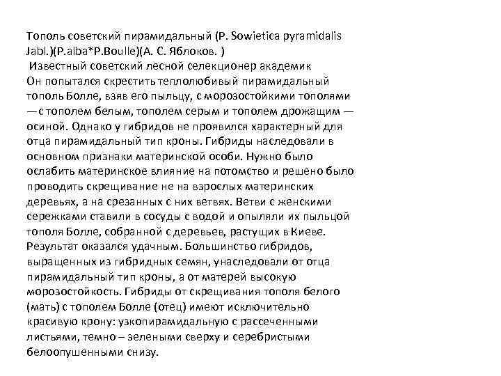 Тополь советский пирамидальный (P. Sowietica pyramidalis Jabl. )(P. alba*P. Boulle)(А. С. Яблоков. ) Известный