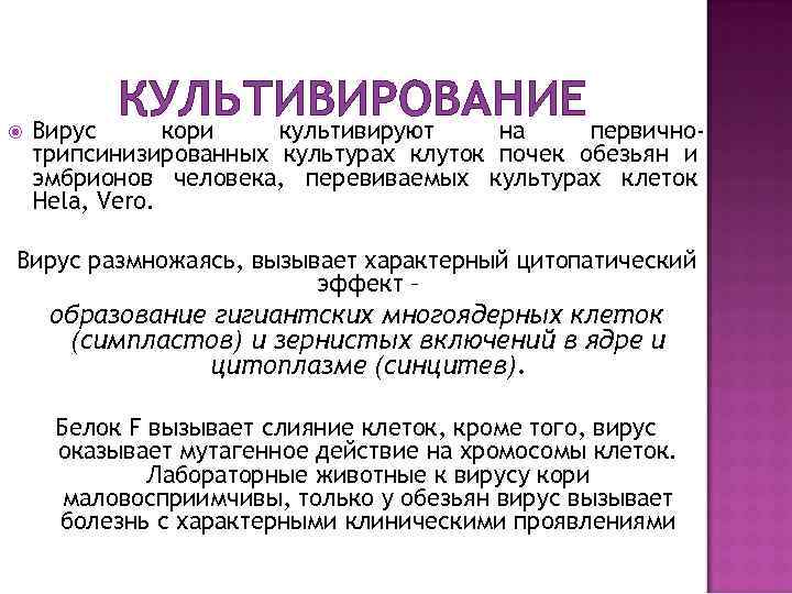  КУЛЬТИВИРОВАНИЕ первичнокори культивируют на Вирус трипсинизированных культурах клуток почек обезьян и эмбрионов человека,