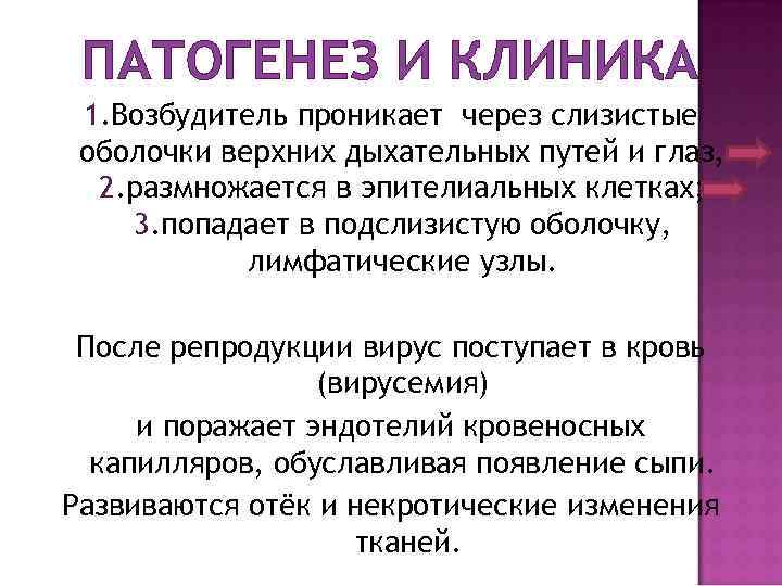 ПАТОГЕНЕЗ И КЛИНИКА 1. Возбудитель проникает через слизистые оболочки верхних дыхательных путей и глаз,