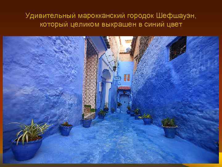 Удивительный марокканский городок Шефшауэн, который целиком выкрашен в синий цвет 
