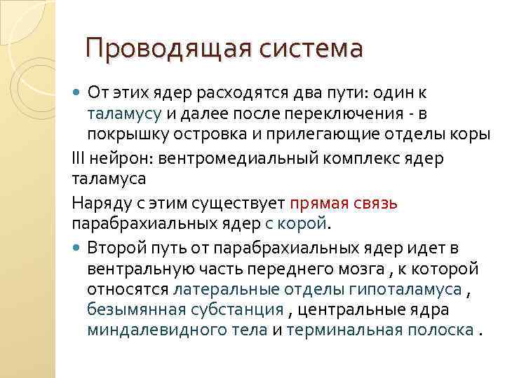 Проводящая система От этих ядер расходятся два пути: один к таламусу и далее после