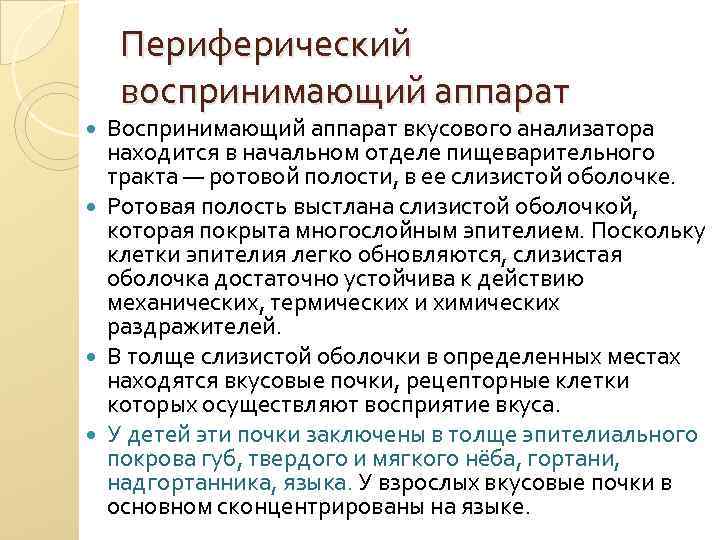 Периферический воспринимающий аппарат Воспринимающий аппарат вкусового анализатора находится в начальном отделе пищеварительного тракта —