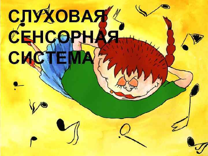 СЛУХОВАЯ СЕНСОРНАЯ СЛУХОВАЯ СИСТЕМА СЕНСОРНАЯ СИСТЕМА 