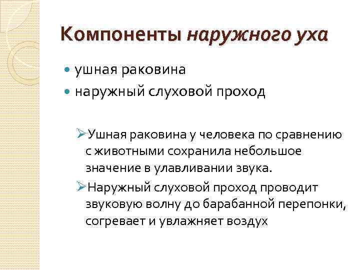Компоненты наружного уха ушная раковина наружный слуховой проход ØУшная раковина у человека по сравнению