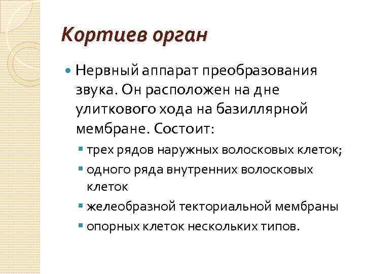Кортиев орган Нервный аппарат преобразования звука. Он расположен на дне улиткового хода на базиллярной
