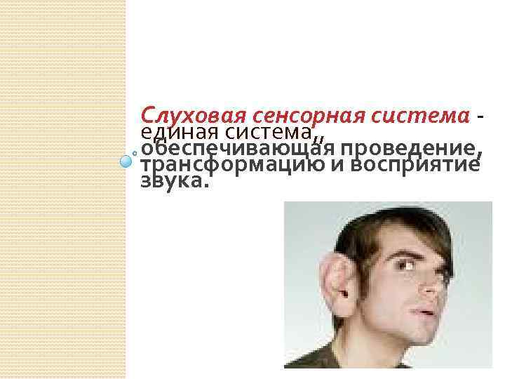 Слуховая сенсорная система единая система, , обеспечивающая проведение, трансформацию и восприятие звука. 
