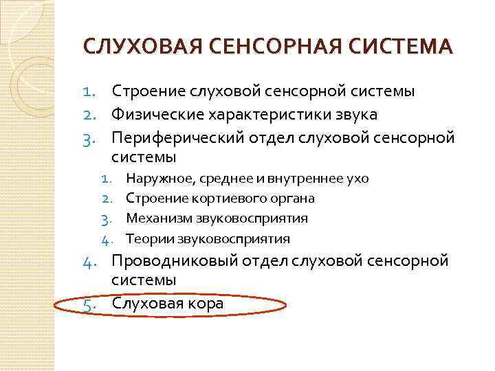 СЛУХОВАЯ СЕНСОРНАЯ СИСТЕМА 1. Строение слуховой сенсорной системы 2. Физические характеристики звука 3. Периферический
