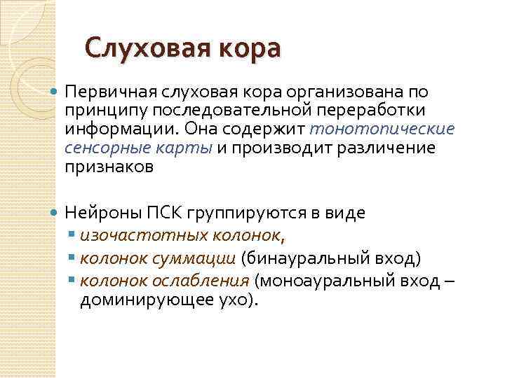 Слуховая кора Первичная слуховая кора организована по принципу последовательной переработки информации. Она содержит тонотопические
