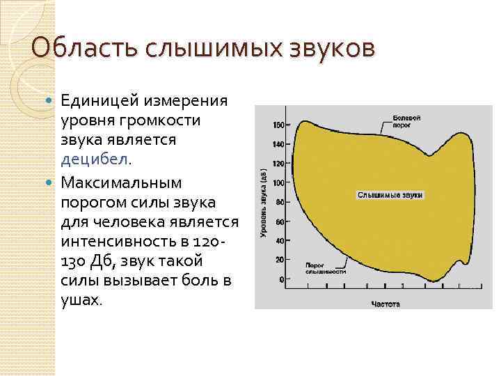 Область слышимых звуков Единицей измерения уровня громкости звука является децибел. Максимальным порогом силы звука