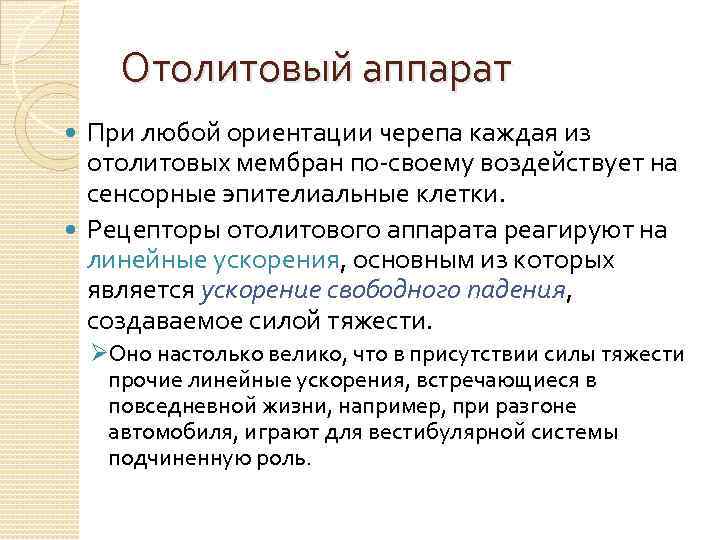 Отолитовый аппарат При любой ориентации черепа каждая из отолитовых мембран по своему воздействует на