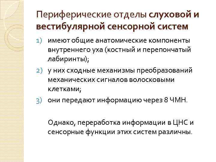 Периферические отделы слуховой и вестибулярной сенсорной систем 1) имеют общие анатомические компоненты внутреннего уха