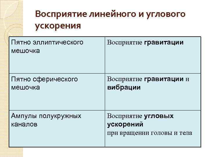 Восприятие линейного и углового ускорения Пятно эллиптического мешочка Восприятие гравитации Пятно сферического мешочка Восприятие