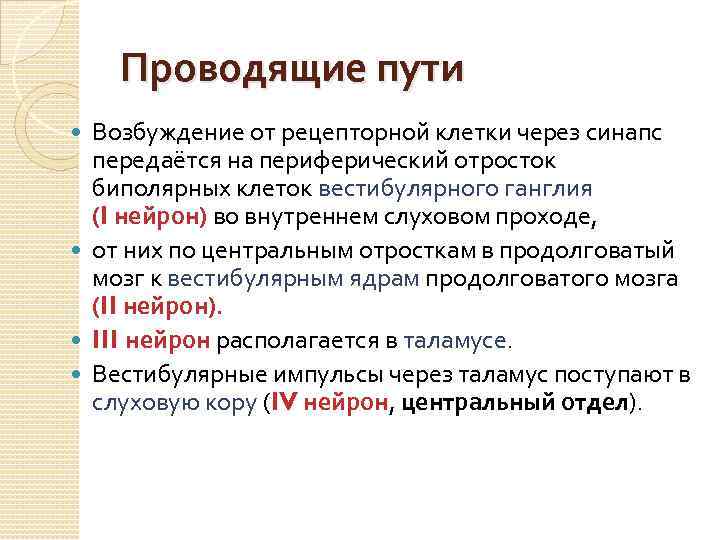 Проводящие пути Возбуждение от рецепторной клетки через синапс передаётся на периферический отросток биполярных клеток