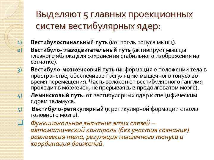 Выделяют 5 главных проекционных систем вестибулярных ядер: 1) 2) 3) 4) 5) Вестибулоспинальный путь