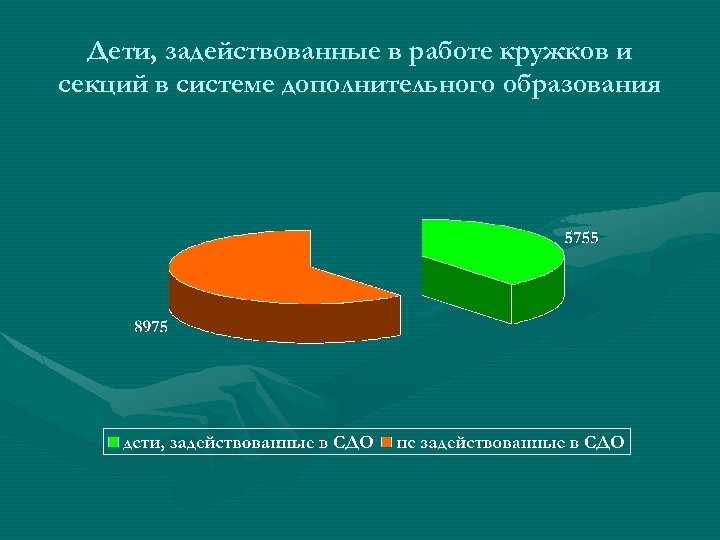 Дети, задействованные в работе кружков и секций в системе дополнительного образования 