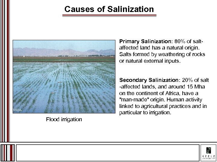 Causes of Salinization Primary Salinization: 80% of saltaffected land has a natural origin. Salts