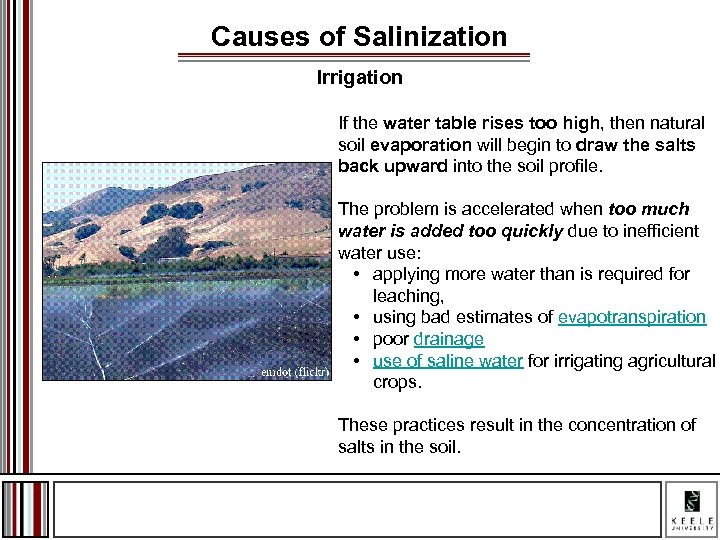 Causes of Salinization Irrigation If the water table rises too high, then natural soil