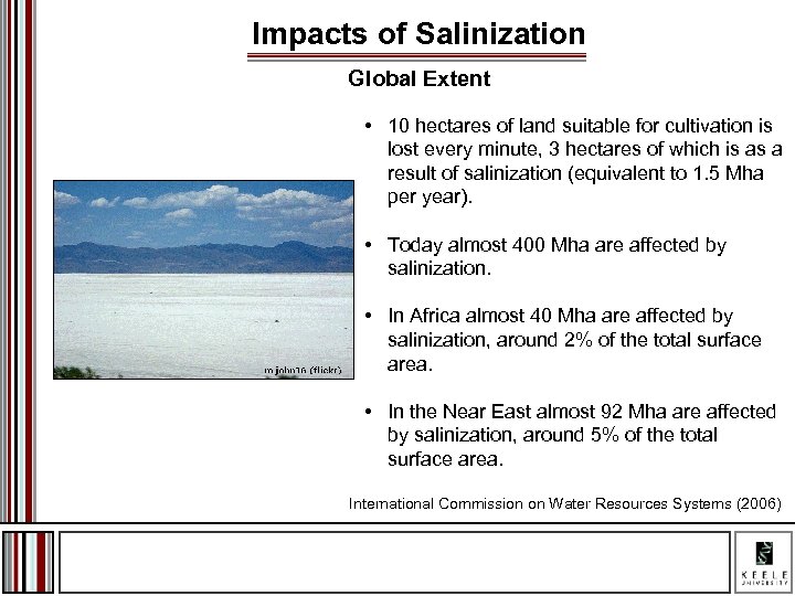 Impacts of Salinization Global Extent • 10 hectares of land suitable for cultivation is