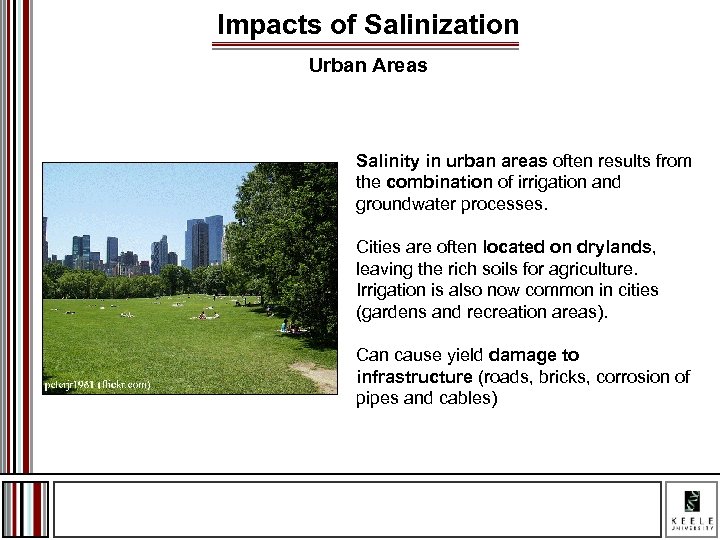 Impacts of Salinization Urban Areas Salinity in urban areas often results from the combination