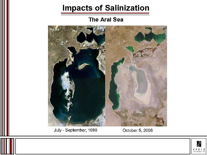 Impacts of Salinization The Aral Sea 