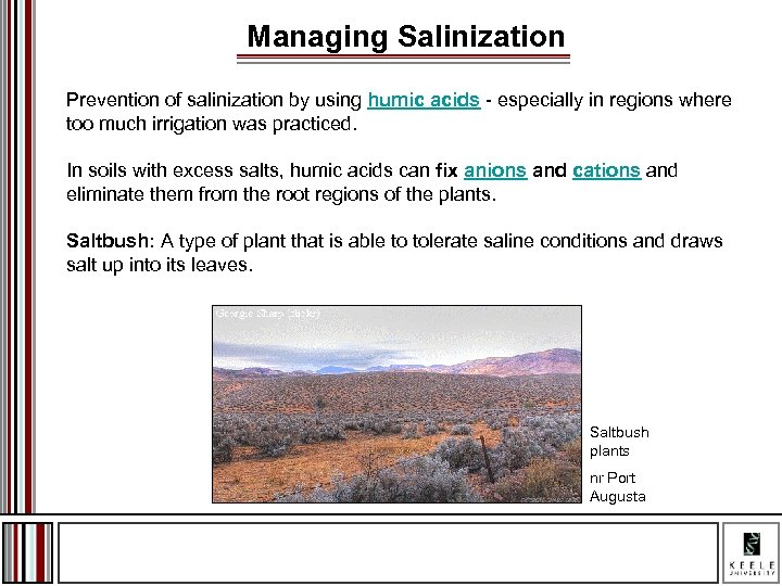 Managing Salinization Prevention of salinization by using humic acids - especially in regions where