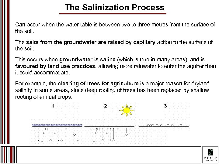 The Salinization Process Can occur when the water table is between two to three