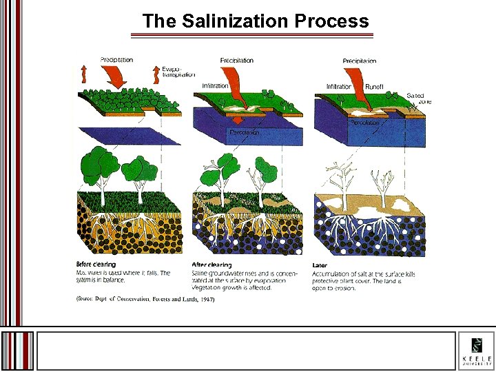 The Salinization Process 